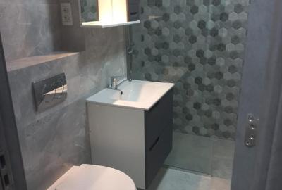 Eden, Inel 1, apartament 2 camere, mobilat, gaze, renovat, inchirieri Constanta - 10