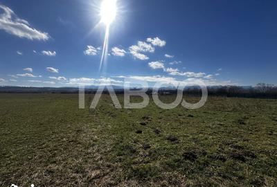 Teren de 2200 mp, în Turnișor - 2
