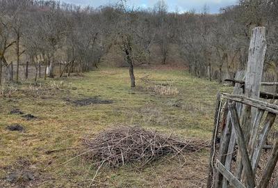 Casă cu 2 camere cu Teren 3000 Mp în Drăghici - 4
