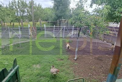 Casă individuală cu 3 camere cu Canalizare în Beuca - 6