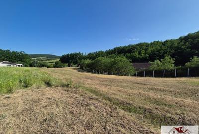 Teren Construcții intravilan de 1052 mp, în Ciugud - 3