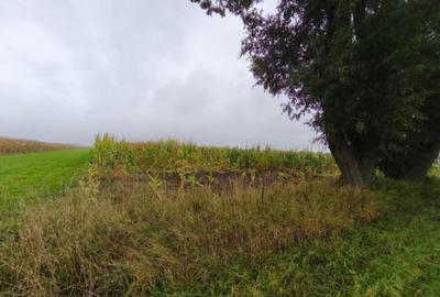 Teren intravilan, 5200mp, front 27ml, Fratautii Vechi, Radau - 2