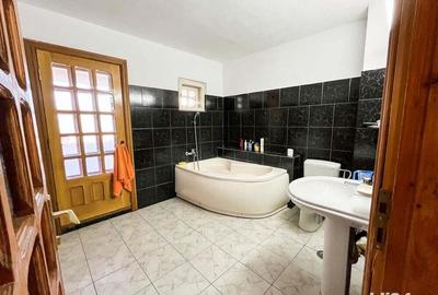 Vila Trivale Pitesti - 9