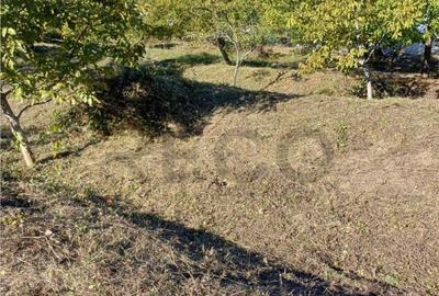 Reco teren Gheorghe Doja zona Spital Judetean - 3
