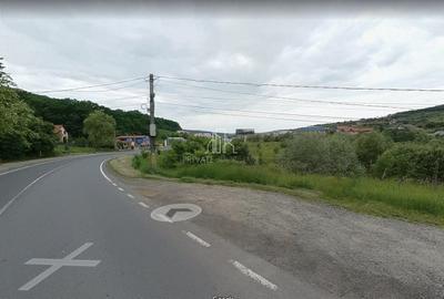 Teren 26 900 Mp intravilan De Vanzare, PUZ Aprobat, La E-60, Corunca - 3