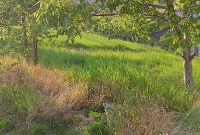 Teren de 773 mp, în Spitalul Județean - 2