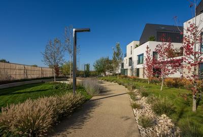 STUDIO BEST PRICE cu Gradina Avalon Estate - 7