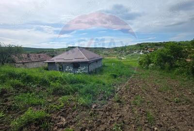 Casă cu Teren 4234 Mp în Deag - 4