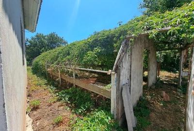 Casă cu 9 camere cu Teren 2375 Mp în Central - 10