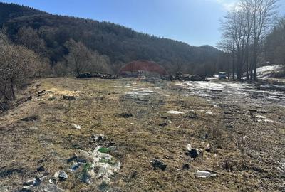 Teren Construcții intravilan de 1340 mp, în Cuejdiu - 2