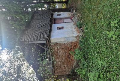 Csa 2 camere. Cosesti-Arges. - 6