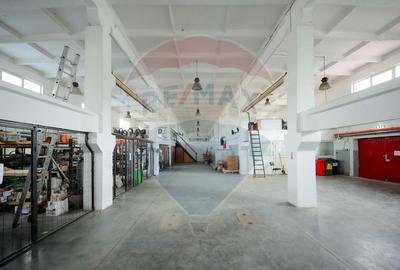 Spațiu industrial, de 1,249.0799560547 mp, în Exterior Vest - 5