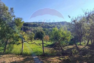 Exclusivitate! Casa cu anexe si teren generos, langa Jibou-Comision 0% - 2