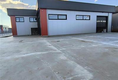 Spațiu industrial, de 900 mp, în Domnești - 4