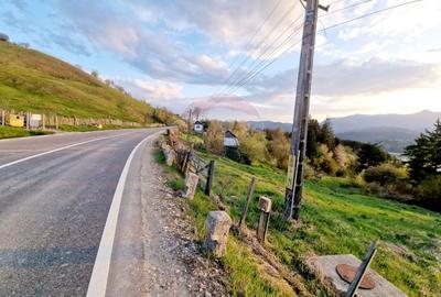 Teren Construcții intravilan de 941 mp, în Hangu - 19