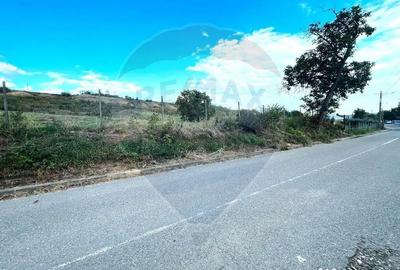 Teren de 4267 mp, în Satu Nou (Panciu) - 3