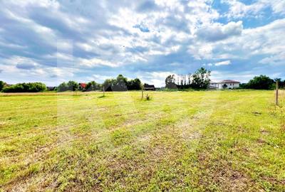 Casa 4 cam.+ teren de vanzare in Cartierul Turnisor, Zona Exclusivista - 8