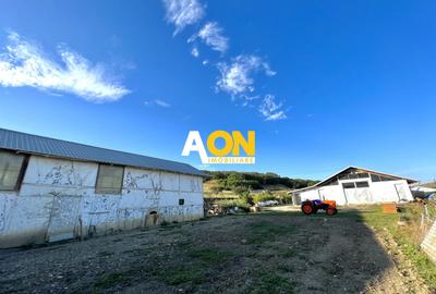Spațiu industrial, de 540 mp, în Periferie - 5