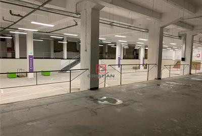 Depozit/hala/spatiu industrial Politehnica - Apaca - 10
