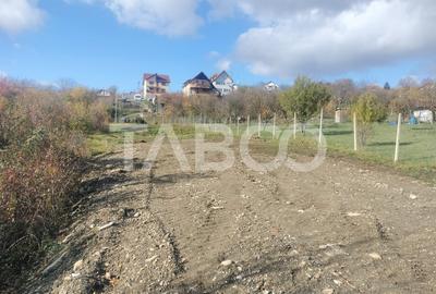 Teren intravilan de vanzare 1000 mp puz aprobat in Daia Noua - 1