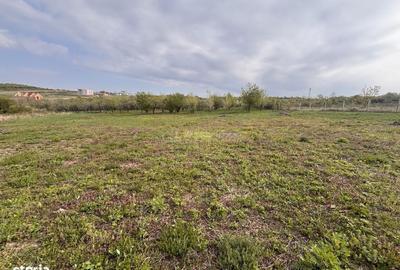 Spațiu comercial, în Paleu - 8