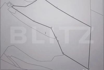 Teren în Scărișoara - 3