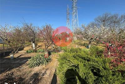 Spațiu comercial, de 336 mp, în Central - 15