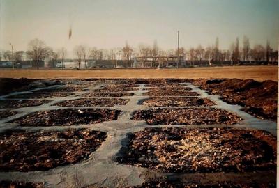 Casă cu 4 camere în Săvinești - 8