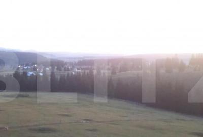 Teren de vanzare, 2400 mp, Dealul Floreni, Vatra Dornei - 3