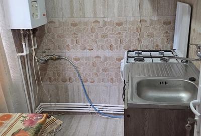 Garsonieră decomandată în Horia - 10