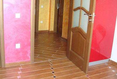 Apartament cu 2 camere decomandat în Turnișor - 5