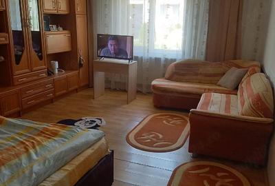 Casă cu 2 camere cu Teren 1400 Mp în Ioaniș - 4