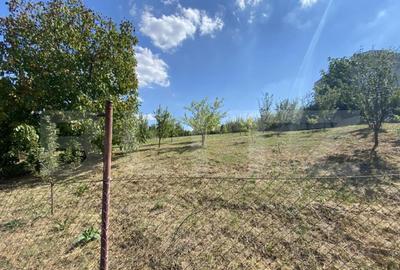 Teren intravilan in Aghires in suprafata de 1500 mp - 7