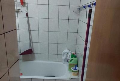 Obor, Colentina, Teiul Doamnei, stradal - 6