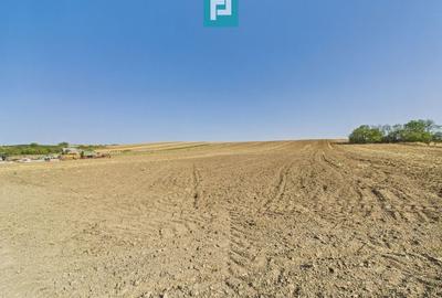 TEREN REMETEA MICĂ, JUDEȚUL TIMIȘ TEREN REMETEA MICĂ, JUDEȚUL TIMIȘ - 8