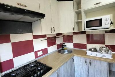 Garsoniera de inchiriat in zona Grivita - 3