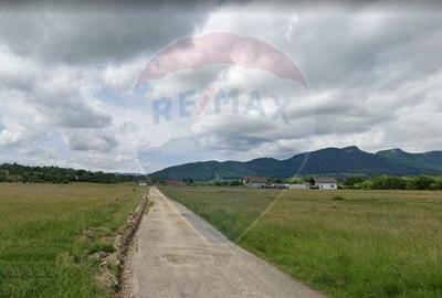 Teren Construcții intravilan de 4800 mp, în Bran - 13