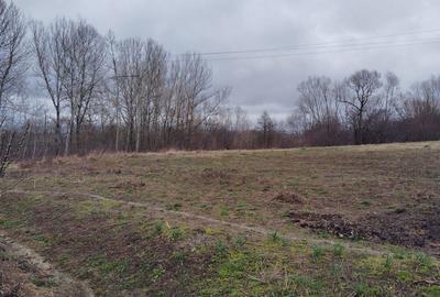 Casa de vanzare Siret - 5