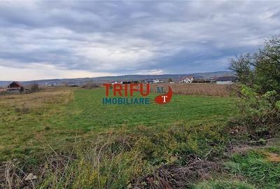 Teren 2160mp în  Partoș - 6