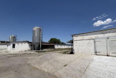 Teren intravilan 26395 mp (fosta Ferma Avicola), Zona Simnic - 1