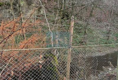 Casă cu 15 camere cu Canalizare în Lendt - 28