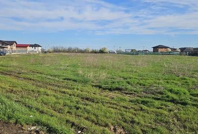 Teren de 555 mp, în Brănești