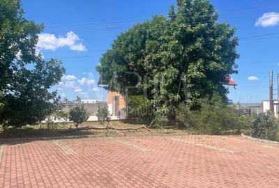 Teren intravilan industrial de vanzare in Episcopia Bihor Oradea, Oradea - 3