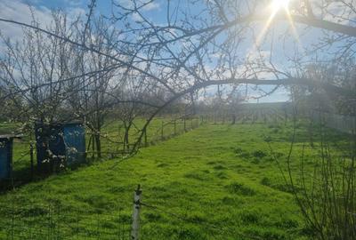 Spațiu comercial, în Rusenii Noi - 4