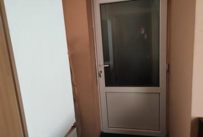 Casa 7 camere libera la vanzare SATU NOU - 21
