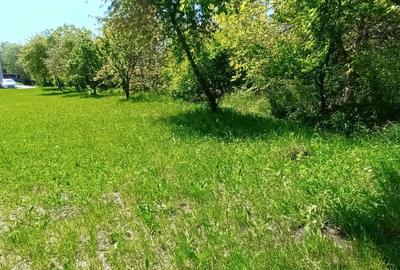 Casă individuală cu 9 camere cu Canalizare în Bună Ziua