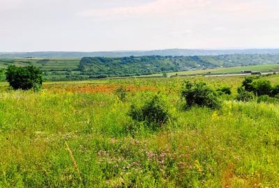 28.554 mp TEREN EXTRAVILAN, TURDA - SĂNDULEȘTI, jud. CLUJ, 300 m de AUTOSTRADA - 36