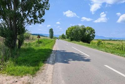 Teren intravilan 7.800 mp Marcu? sau loturi incepand cu 7.000 euro. - 2