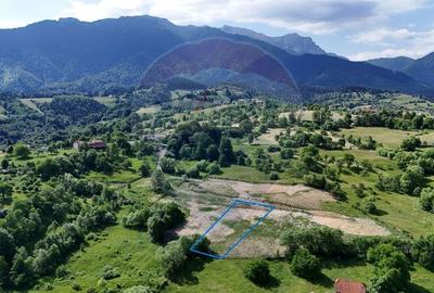 Teren Construcții intravilan de 1900 mp, în Sohodol - 3