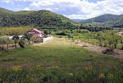 GRATIS in Orsova poti cultiva legume - 2